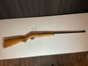 Photo of Anschutz .22 Short