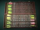 Photo of 57 Aluminum Arrows and a Case