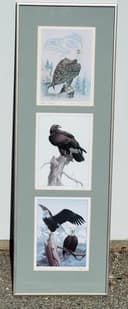 Photo of Vintage Triple Eagle Art Collection - Sue Coleman, Luke Raffin,