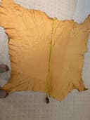 Photo of 4’x4’ Tanned Cow Hide Moose Hide
