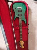 Photo of Extreme green Washburn N1