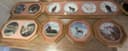 Photo of Animal collector plates in St Mary shadow box frames