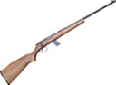 Photo of Globco Fiream, Bolt Action Rifle, .22LR