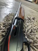 Photo of Winchester SX3 12 Gauge Semi-Auto
