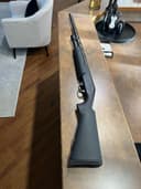 Photo of Stoeger p350 pump action 12Ga