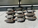 Photo of 12 Ducks Decoy, line and lead weight on each