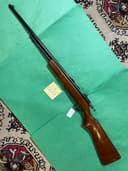 Photo of COOEY 60 22 CAL BOLT