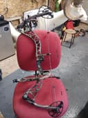 Photo of Bow