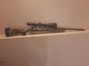 Photo of Savage 30-06