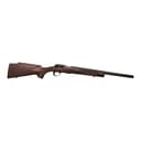 Photo of Browning T-Bolt Target 16.5" 22 WMR