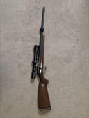 Photo of Model 171 .22 calibre LR