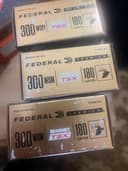 Photo of 300wsm 180gr tsx