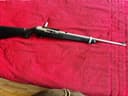 Photo of Ruger 10/22