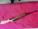 Photo of Ruger 10/22