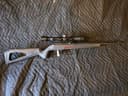 Photo of 22LR wildcat
