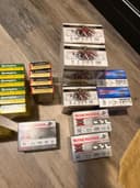 Photo of 12 gauge ammo
