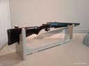 Photo of Savage 24 22/410