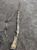 Photo of Stoeger M3500 Turkey Model Semi Automatic 12 Gauge Shotgun with case, lock and ammunition.