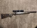 Photo of Ruger American Target Laminate in .22 Magnum