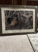 Photo of Limited edition print, The New Homesteader