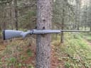 Photo of Mark V Weatherby Hunter in 280 Ackley Improved