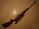 Photo of .22 semi auto