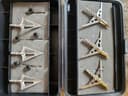 Photo of Broadheads & caddy