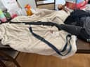 Photo of Lazer 20 gauge backpacker