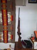 Photo of Mossburg 30.06