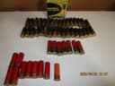 Photo of SHOT GUN SHELLS