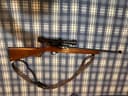 Photo of Ruger 10/22 .22 rifle
