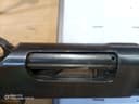 Photo of winchester 1897 "Trap Gun"