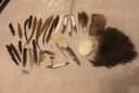 Photo of Fly Tying Tools and Supplies