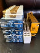 Photo of 308 ammo