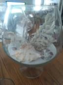 Photo of Another ciral shell decor piece