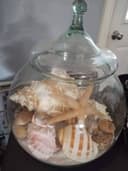 Photo of Shell and sand decor piece