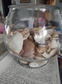 Photo of Big bowl of shells