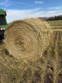 Photo of Haymaker oat greenfeed bales