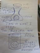 Photo of Wanted free