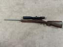Photo of Winchester Model 70 Coyote Brown Stainless 22-250