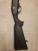 Photo of 12ga pump shotgun