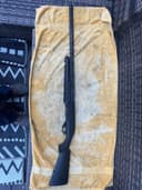 Photo of 12 Gauge Benelli Nova
