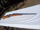 Photo of .410 Mossberg