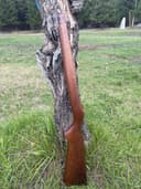 Photo of Factory Ruger 10/22 Stock from 1990.