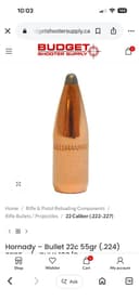 Photo of .224 bullets