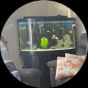 Photo of Corner Aquarium, with stand In Whitecourt