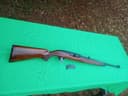Photo of .22 CDL Winchester