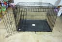 Photo of Precision Pet Products Medium-Large Dog Crate