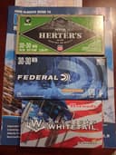 Photo of 30 30 cal ammo