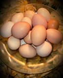 Photo of Eggs Farm Fresh